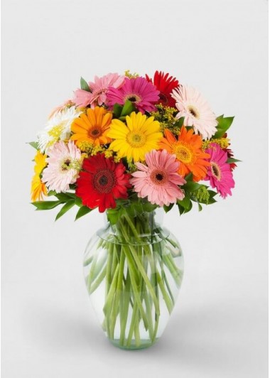 Vazoda Gerbera